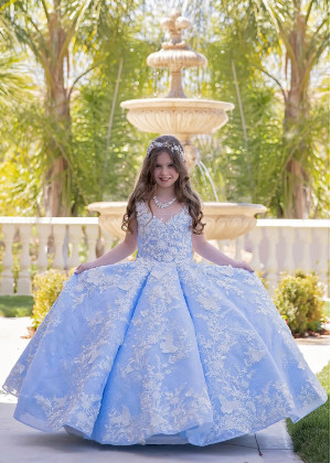 Sky Blue Beaded Lace Tulle 3D Buttterfly Fairytale Flower Girl Dress